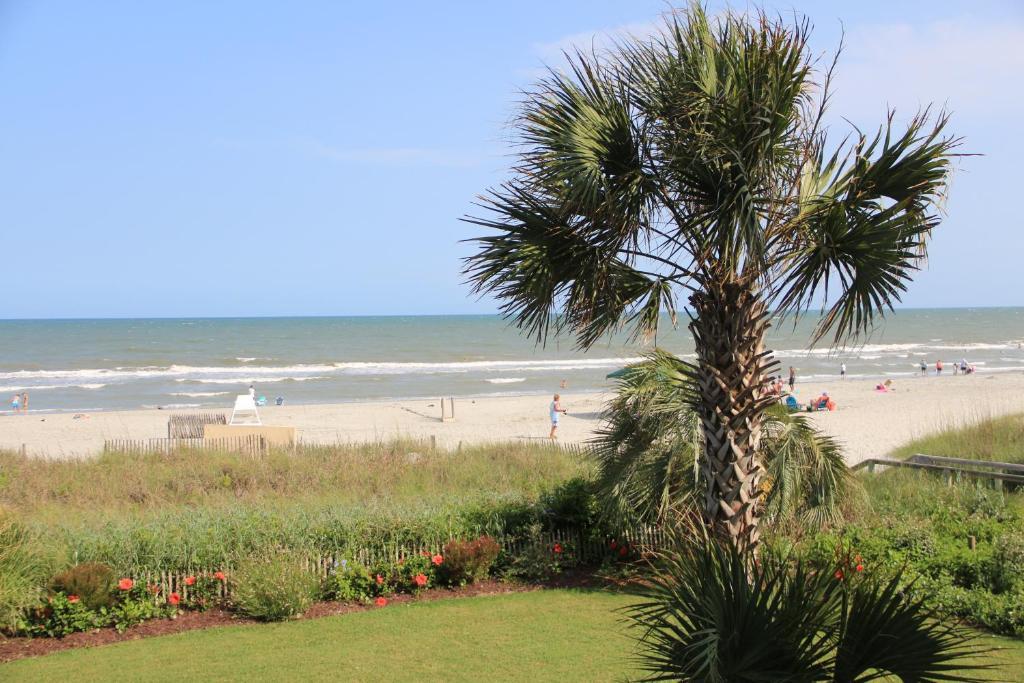 Hotel Jade Tree Cove Myrtle Beach Esterno foto